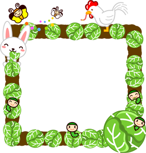 5月のキャベツ畑フレームイラスト