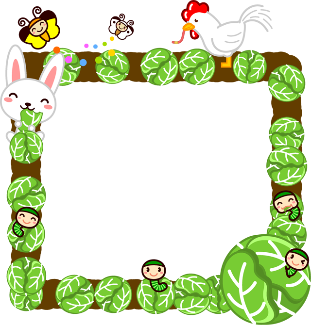5月のキャベツ畑フレームイラスト