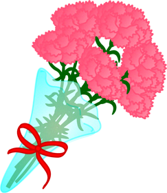 カーネーションの花束イラスト/ピンク