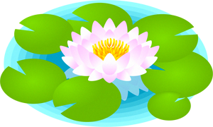 睡蓮のイラスト