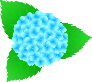 紫陽花のイラスト/水色