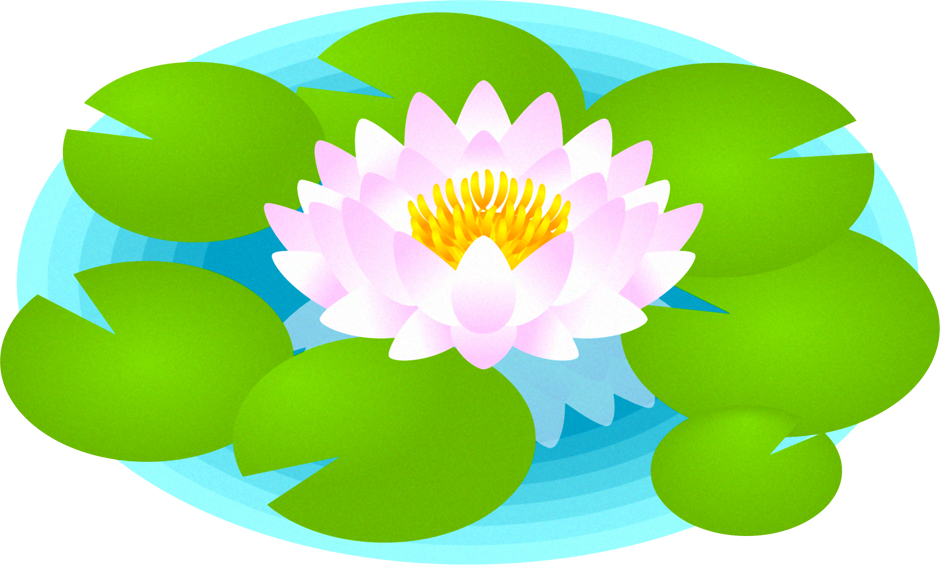 睡蓮のイラスト