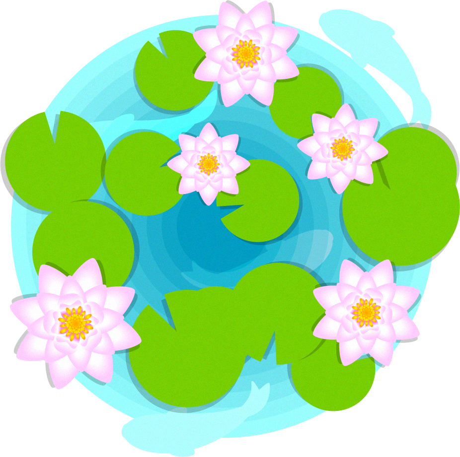 睡蓮のイラスト/真上