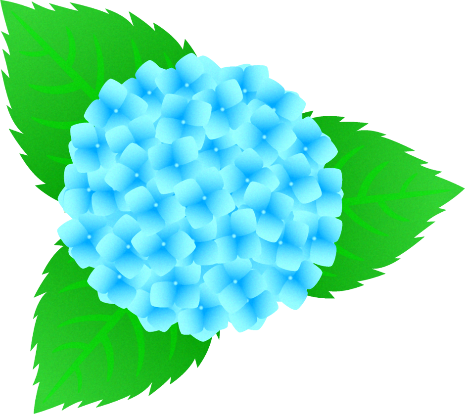 紫陽花のイラスト/水色