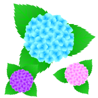 6月の花イラスト