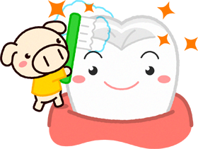 健康な歯イラスト