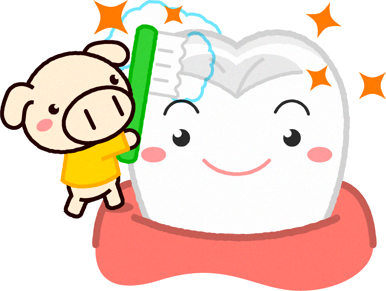 健康な歯イラスト