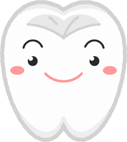 歯イラスト/普通