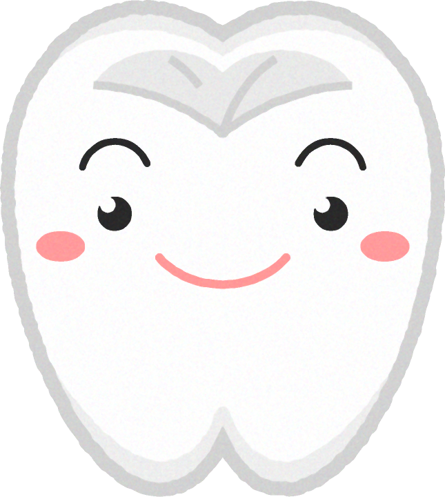 歯イラスト/普通