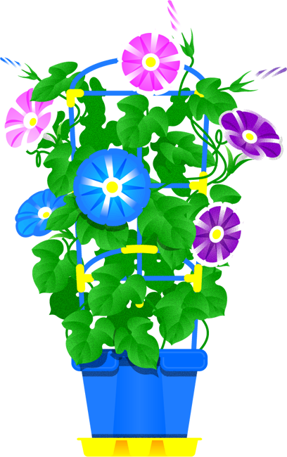 朝顔のイラスト