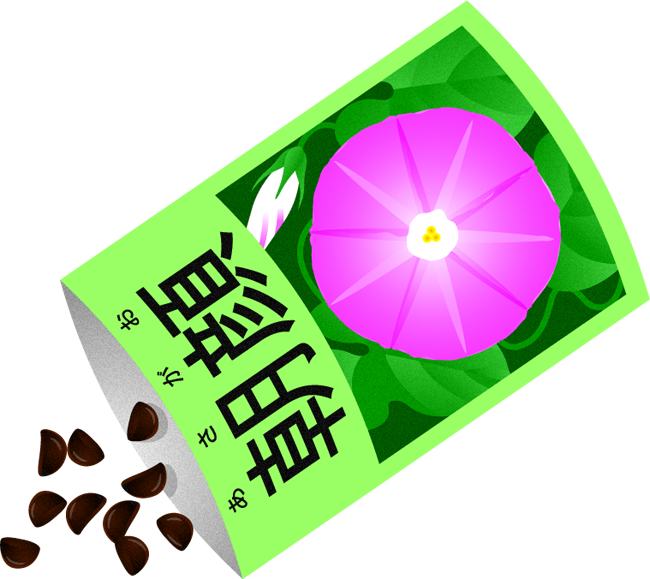 朝顔の種イラスト