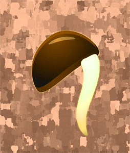 土の中で芽が出るイラスト