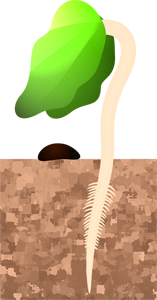 土から芽が出たイラスト2