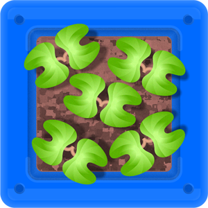 植え木張りから芽が出たイラスト2