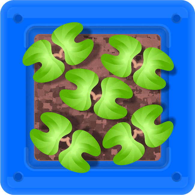 植え木張りから芽が出たイラスト