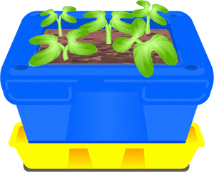 植え木張りから芽が出たイラスト3