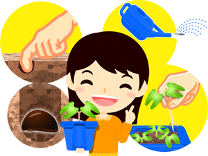 朝顔栽培イラスト/女の子