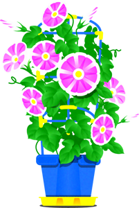 朝顔のイラスト2