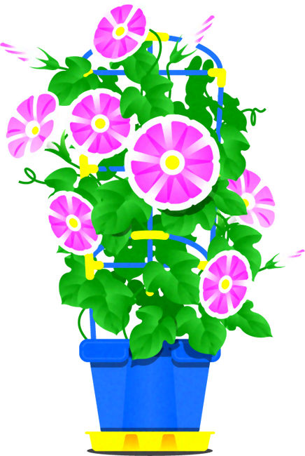 朝顔のイラスト2