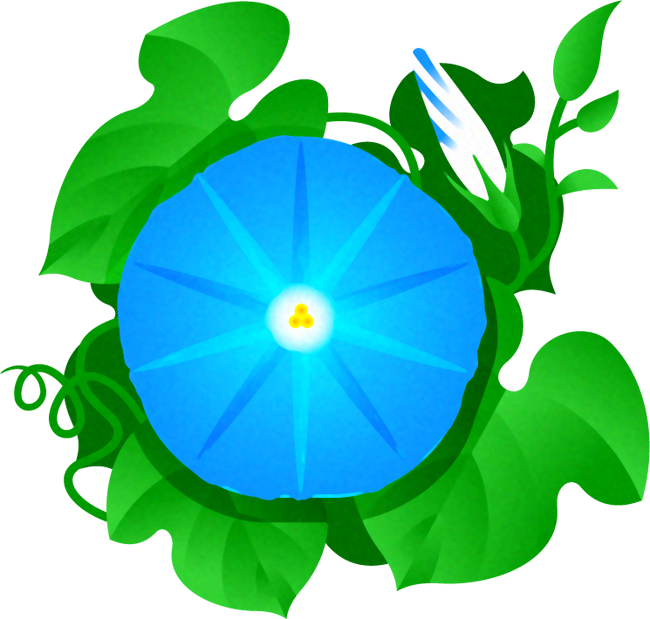 朝顔のイラスト/水色