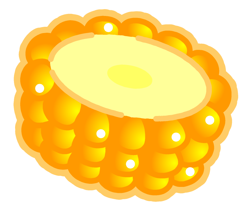 トウモロコシのイラスト/BBQ