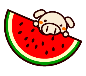 大きいスイカをかじるイラスト/ブタ