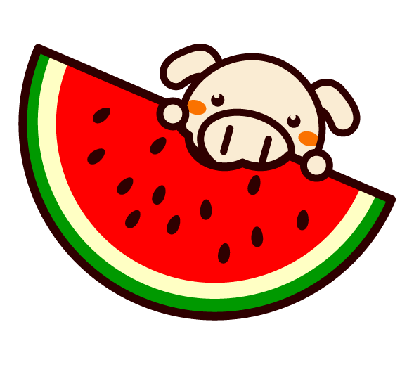 大きいスイカをかじるイラスト/ブタ