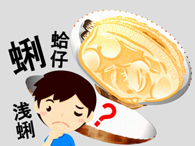 アサリの漢字はなぜ虫編イラスト