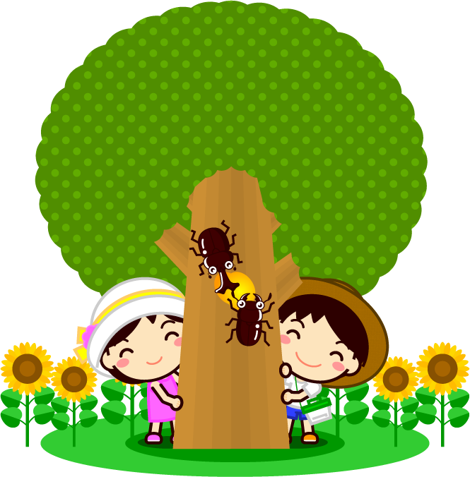 夏休みに木の蜜を吸う昆虫の観察イラスト