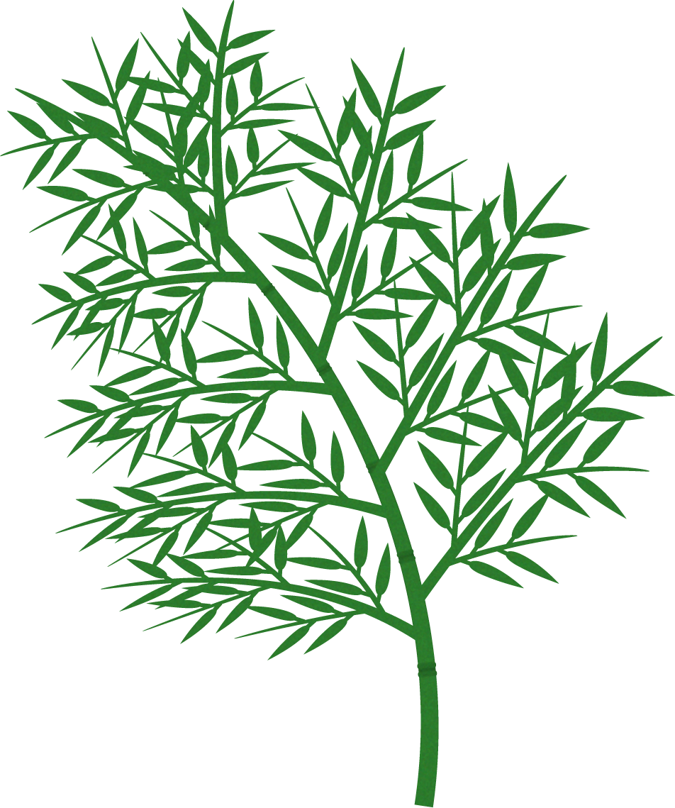 七夕の笹イラスト