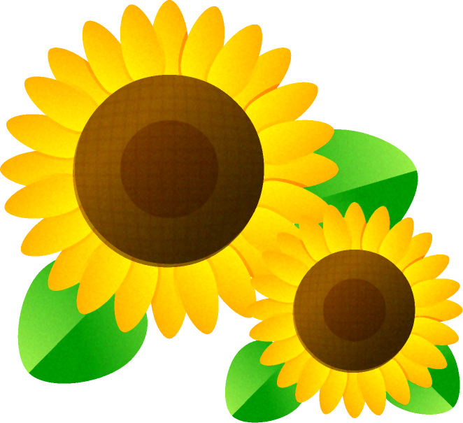 向日葵イラスト2