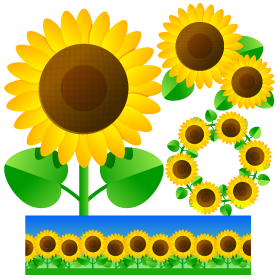 夏の花イラスト