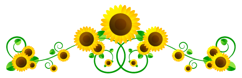 向日葵フレームのイラスト/上