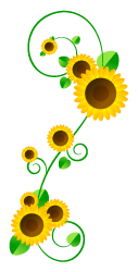 向日葵フレームのイラスト/縦2