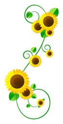 向日葵フレームのイラスト/縦3
