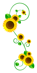 向日葵フレームのイラスト/縦4