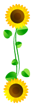 向日葵フレームのイラスト/縦1