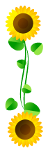 向日葵フレームのイラスト/縦2