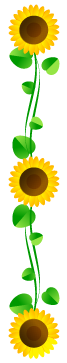 向日葵フレームのイラスト/縦3