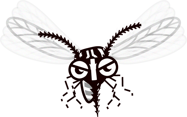 蚊のイラスト/飛ぶ・正面