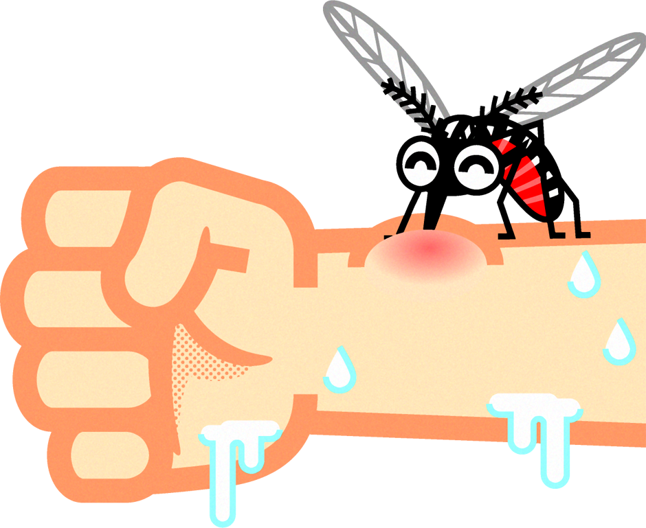 腕を刺す蚊イラスト
