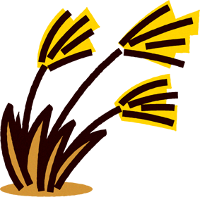 ススキのイラスト