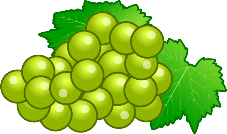 マスカットのイラスト/葡萄
